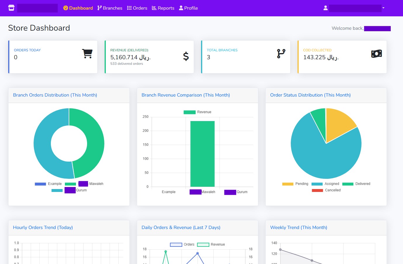 Store Management Dashboard Preview